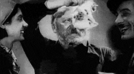 Małe kotki dla wszystkich