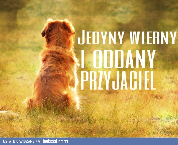 Najlepszy przyjaciel