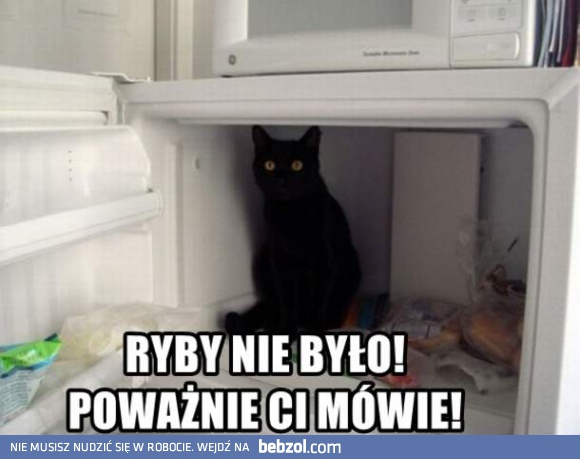 Nie było tu żadnej ryby!