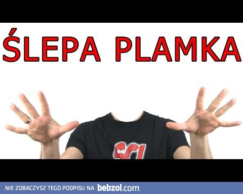 Zabawy ze ślepą plamką