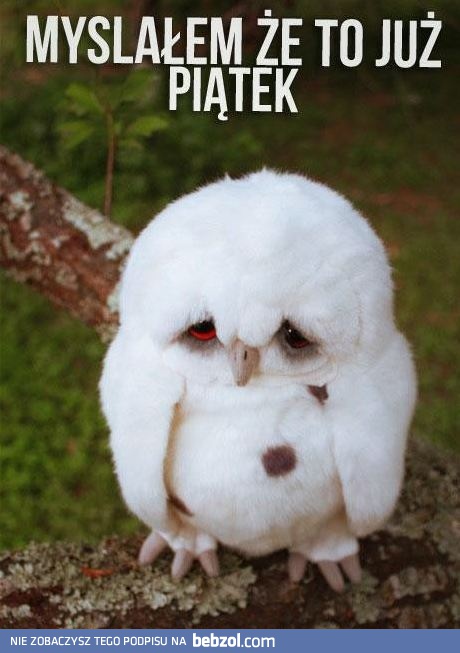 Na szczęście już niedługo