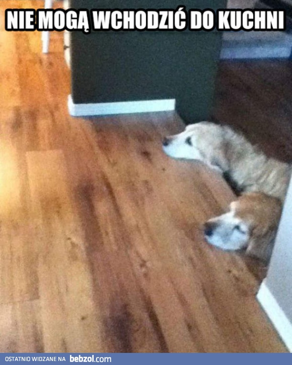 Dalej nie wejdziecie