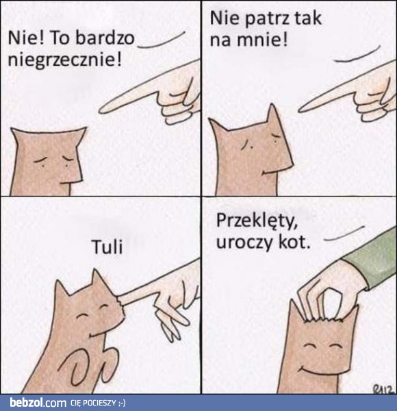 Kot tresuje człowieka