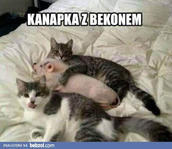 Kanapka z bekonem na słodko