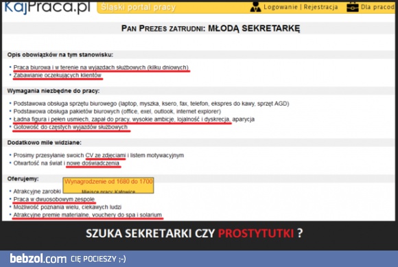 Zatrudnię seksretarkę