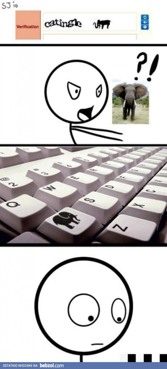 Słoń na klawiaturze