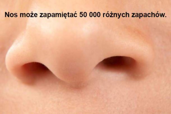 19 niesamowitych faktów o ludzkim organizmie