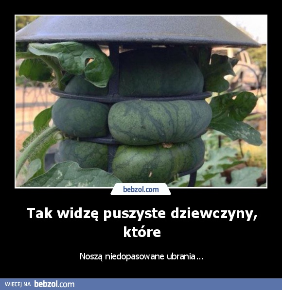 Tak widzę puszyste dziewczyny, które