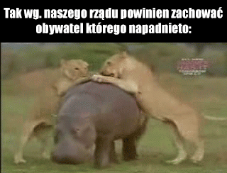 Sorry, takie mamy prawo