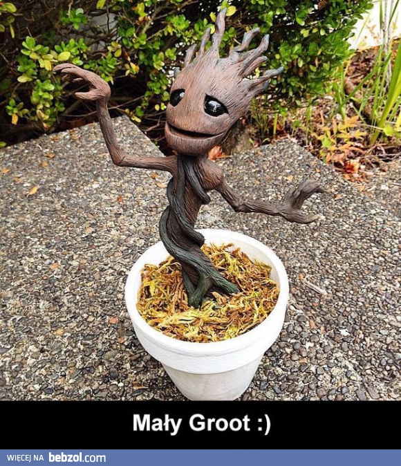 Jestem Groot