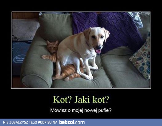 O co ci chodzi?:)