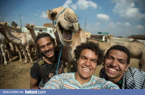 Selfie z wielbłądem