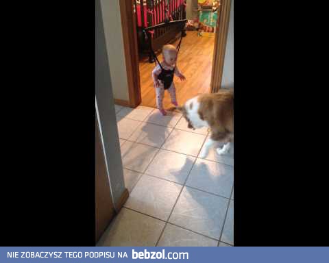 Pies uczy dziecko skakać