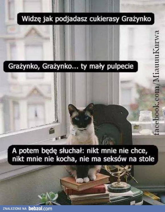 Gdyby kot potrafił mówić