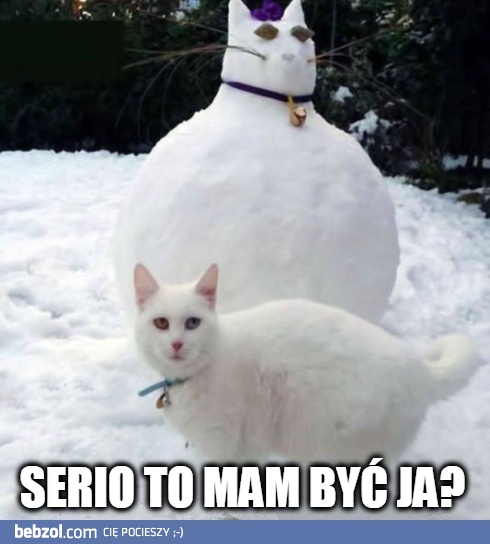 To mam być ja?