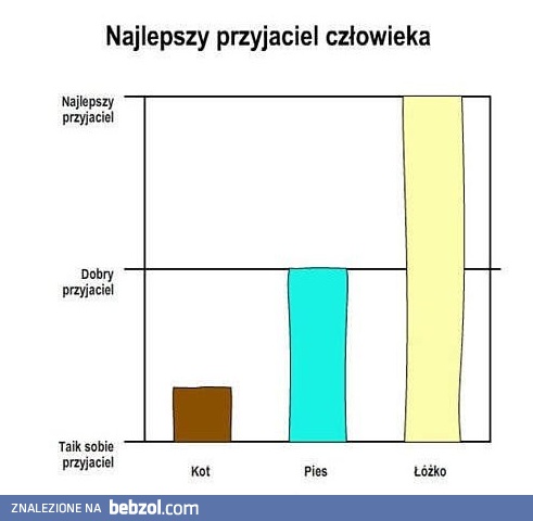 Najlepszy przyjaciel człowieka