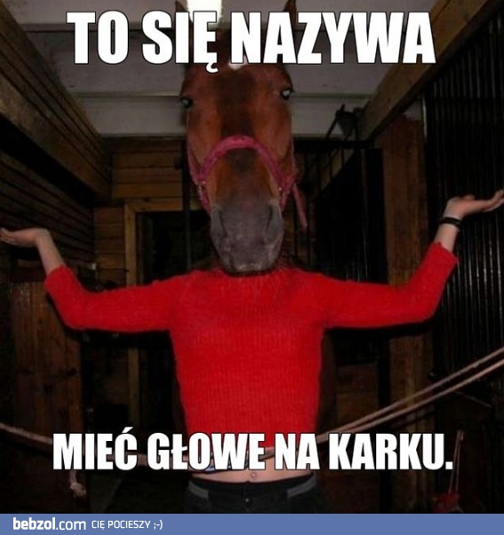 Głowa na karku