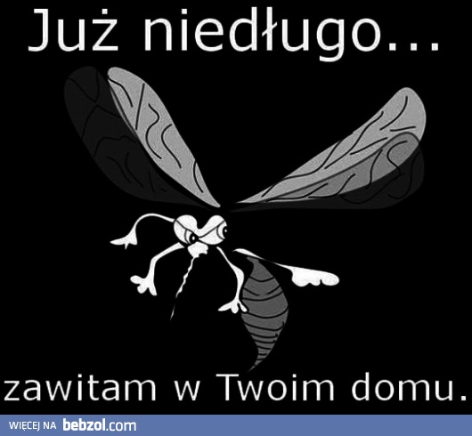 Już niedługo