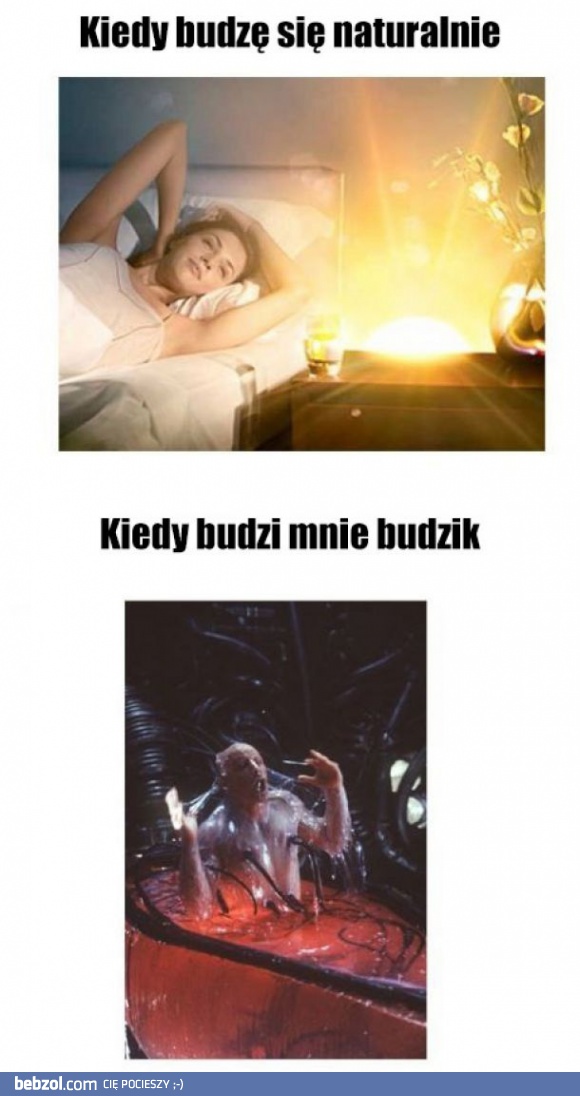 Budzik