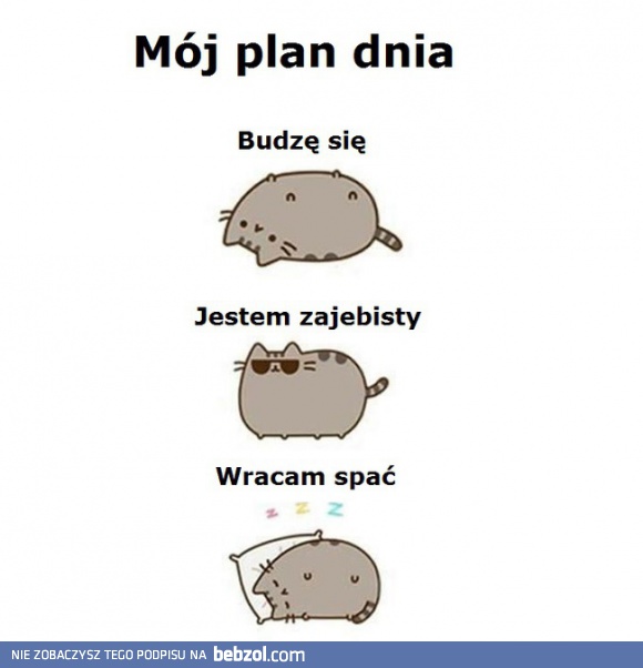 Plan dnia