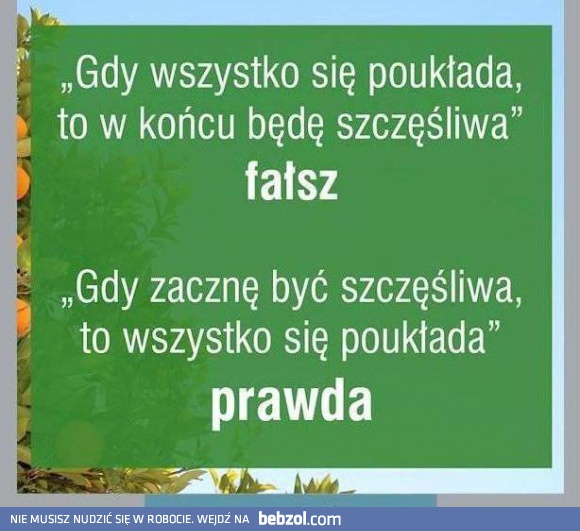 Prawda/fałsz