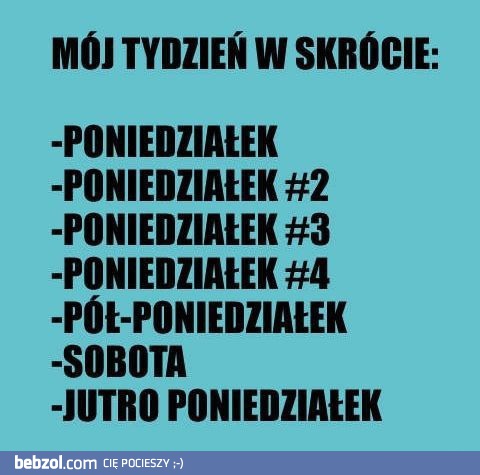 Tydzień w skrócie