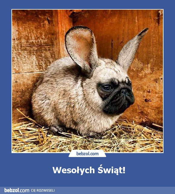 Wesołych Świąt!