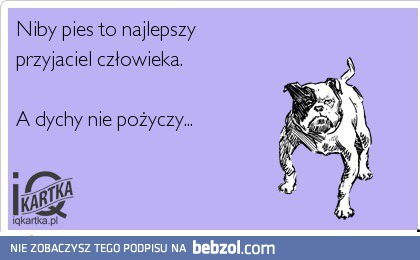 Najlepszy przyjaciel