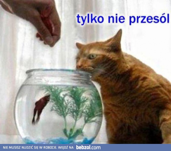 Tylko nie przesól