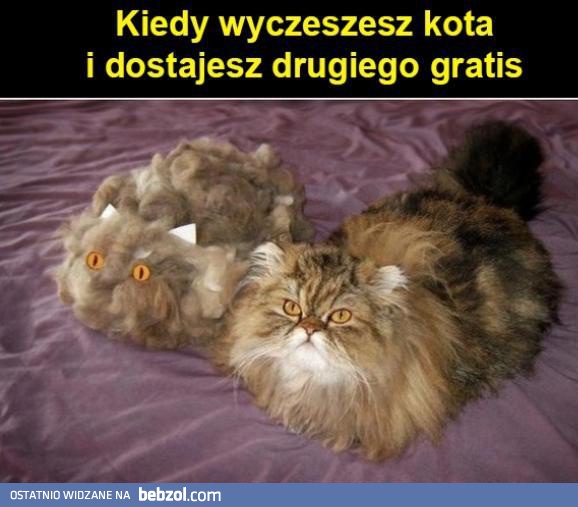 Drugi gratis