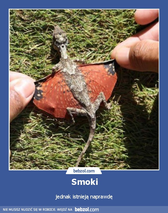 Smoki