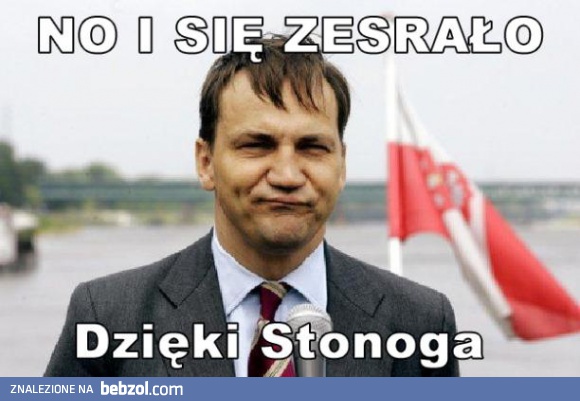 Dzięki Stonoga