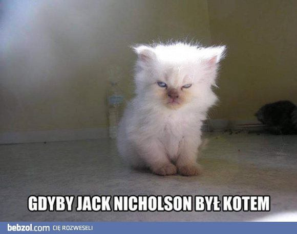 Gdyby Jack Nicholson był kotem