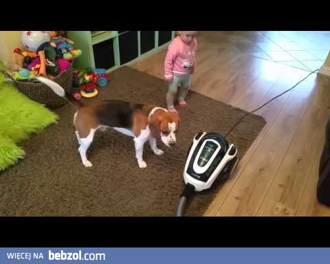 Dziecko uczy psa jak włączyć odkurzacz!