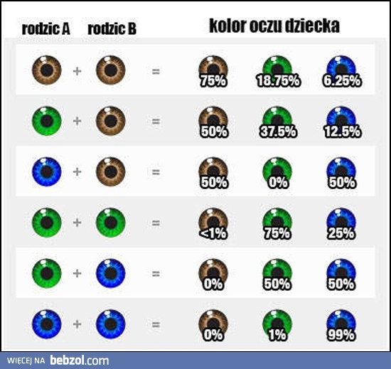 Jaki kolor oczu będzie mieć twoje dziecko?