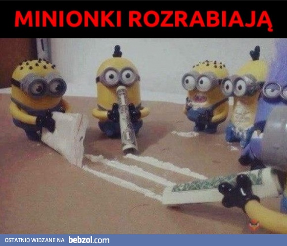 Minionki rozrabiają