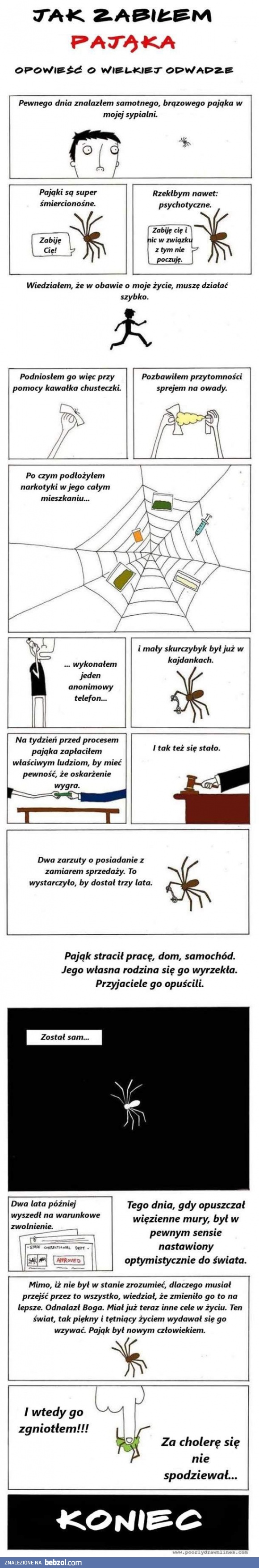 Smutna historia z pająkiem