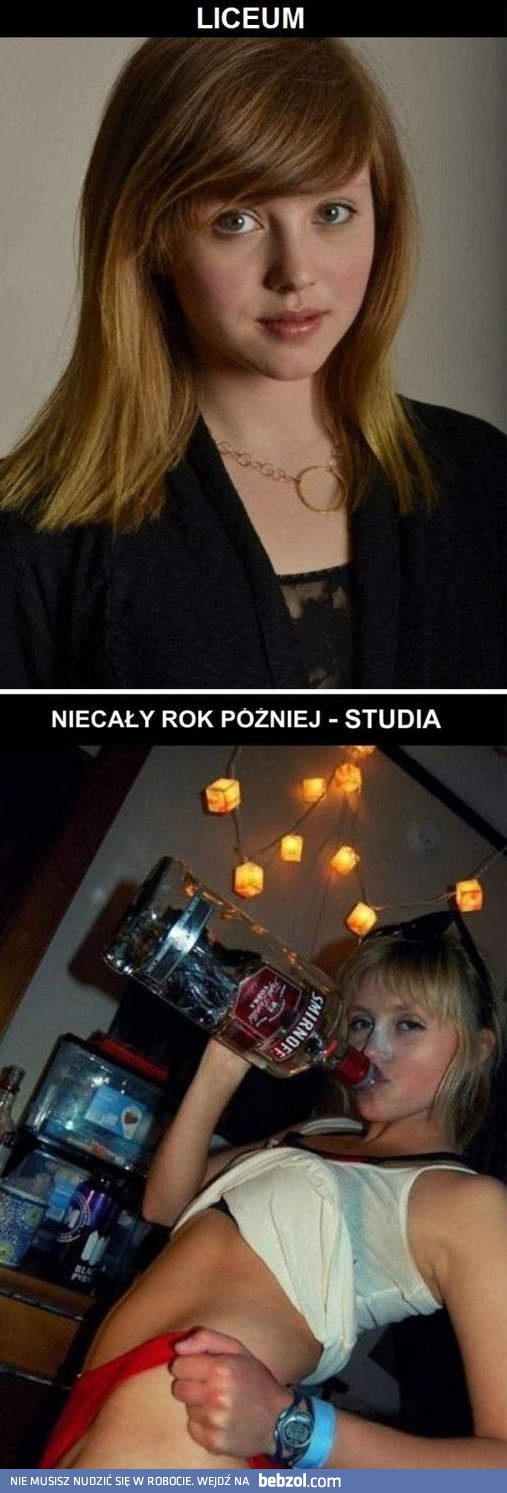 Studia niszczą!