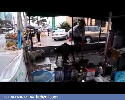 Niezwykłe popcorn maszyna