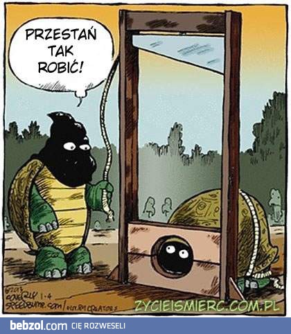 Egzekucja żółwia