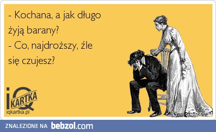 Jak długo żyją barany?