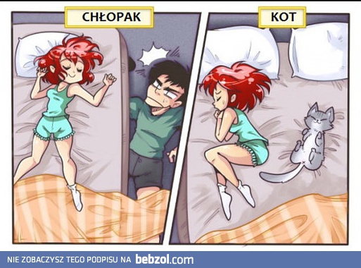 Chłopak vs Kot