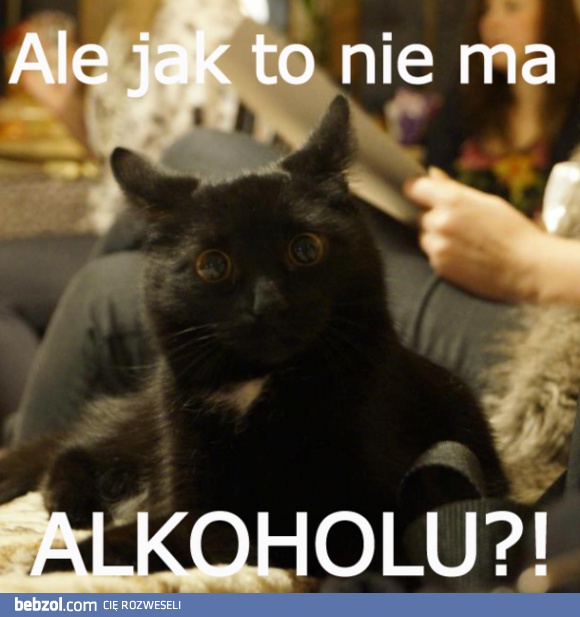 Ale jak to nie ma?