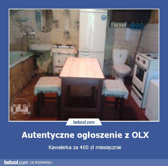 Autentyczne ogłoszenie z OLX