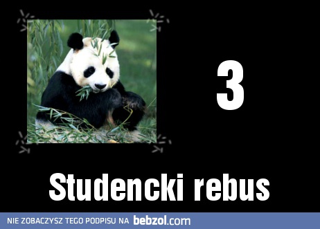 Studencki rebus