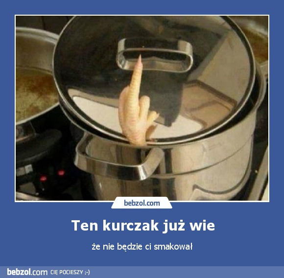 Ten kurczak już wie