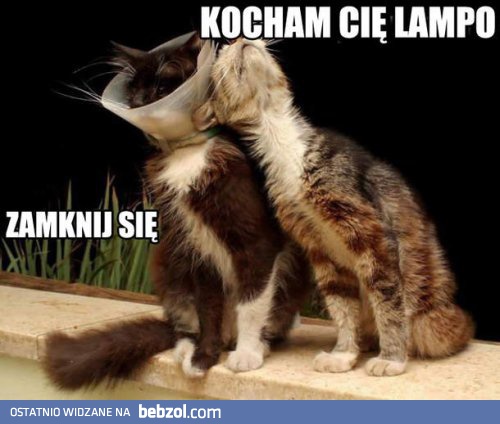 Kocham cię lampo