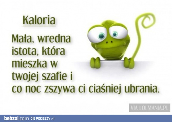 Kaloria