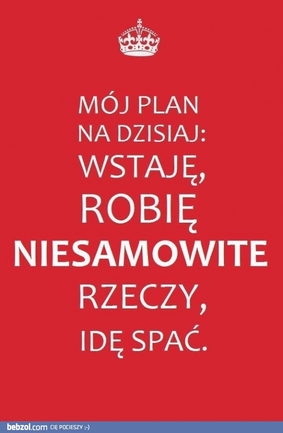 Plan na dziś