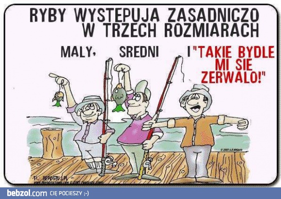 Trzy rozmiary ryb